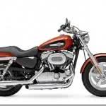 Harley Davidson 1200 Custom - Preço, Fotos 2024