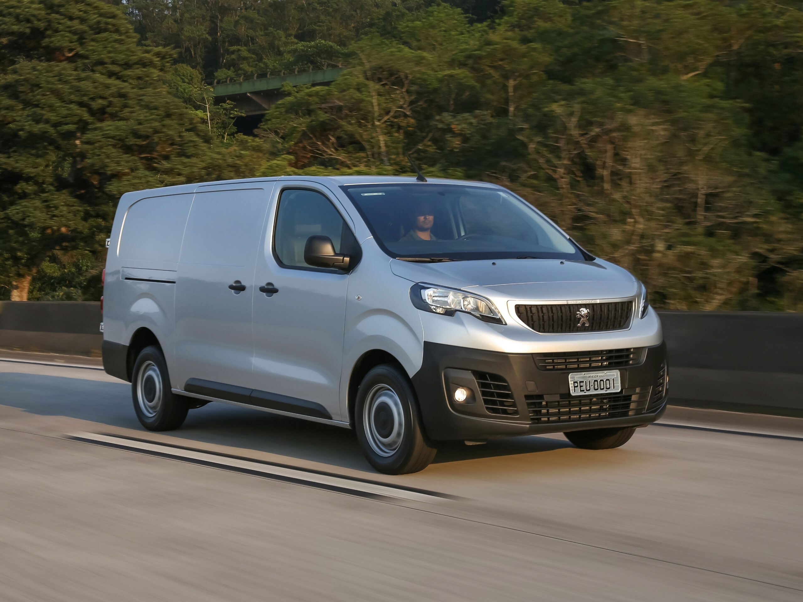 Peugeot Expert: É Bom? Avaliação, Consumo e Problemas 2024